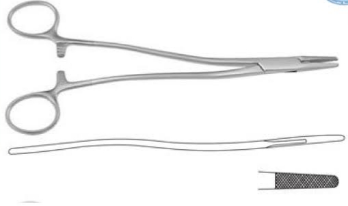 Needle mask 18cm Hilton