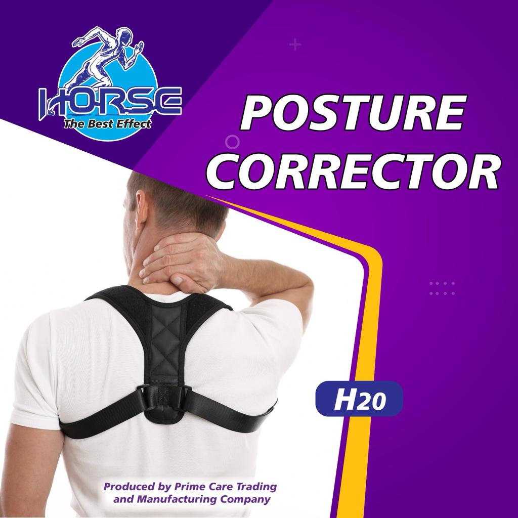 Posture Corrector Horse