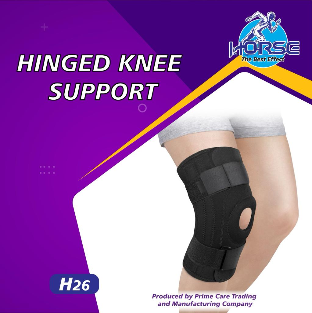 Hinged Knee Support Horse
