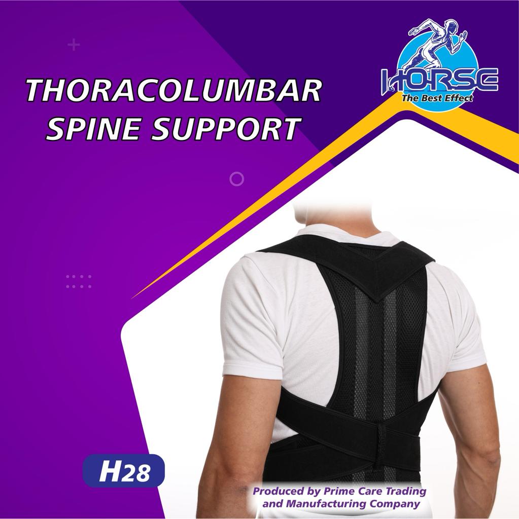 Thoracolumbar Spine support Horse